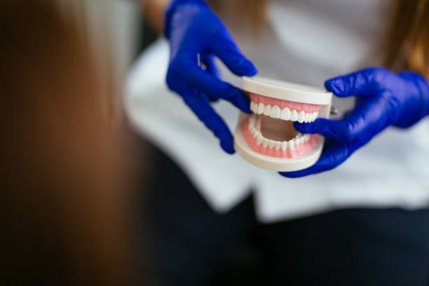 Professional Holistic Dental Care Services in Columbus, TX